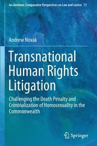 bokomslag Transnational Human Rights Litigation