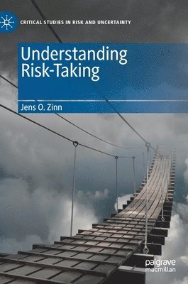 bokomslag Understanding Risk-Taking