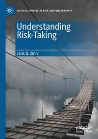 bokomslag Understanding Risk-Taking