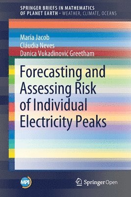 bokomslag Forecasting and Assessing Risk of Individual Electricity Peaks