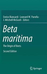 bokomslag Beta maritima
