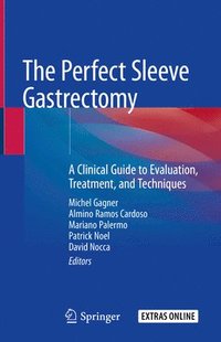 bokomslag The Perfect Sleeve Gastrectomy