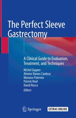 bokomslag The Perfect Sleeve Gastrectomy