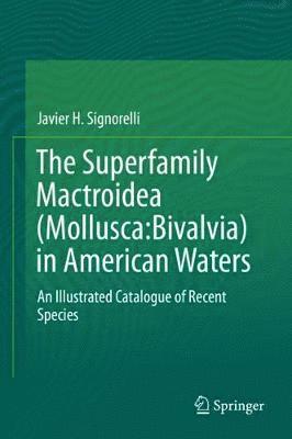 bokomslag Superfamily Mactroidea (Mollusca:Bivalvia) in American Waters