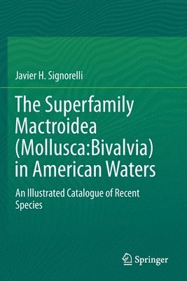 bokomslag The Superfamily Mactroidea (Mollusca:Bivalvia) in American Waters