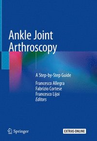 bokomslag Ankle Joint Arthroscopy