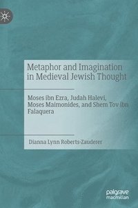 bokomslag Metaphor and Imagination in Medieval Jewish Thought