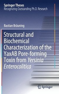bokomslag Structural and Biochemical Characterization of the YaxAB Pore-forming Toxin from Yersinia Enterocolitica