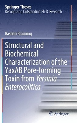 Structural and Biochemical Characterization of the YaxAB Pore-forming Toxin from Yersinia Enterocolitica