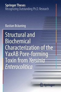 bokomslag Structural and Biochemical Characterization of the YaxAB Pore-forming Toxin from Yersinia Enterocolitica