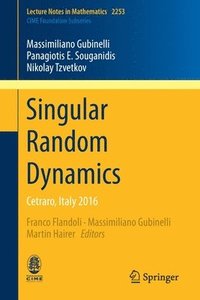 bokomslag Singular Random Dynamics