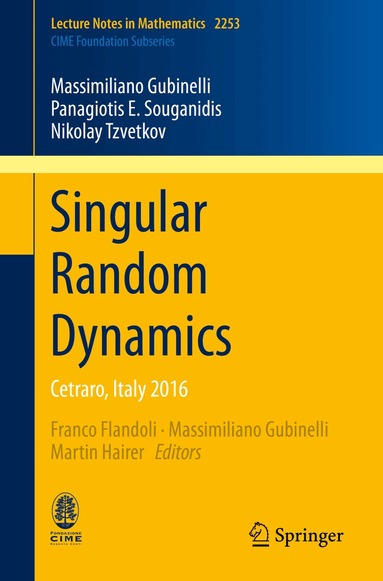 Massimiliano Gubinelli, Panagiotis E. Souganidis, Nikolay Tzvetkov, Franco Flandoli, Massimiliano Gubinelli, Martin Hairer - Singular Random Dynamics, Häftad