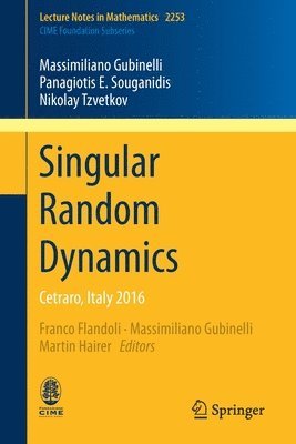 Singular Random Dynamics 1