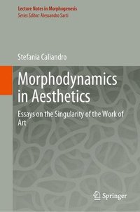 bokomslag Morphodynamics in Aesthetics