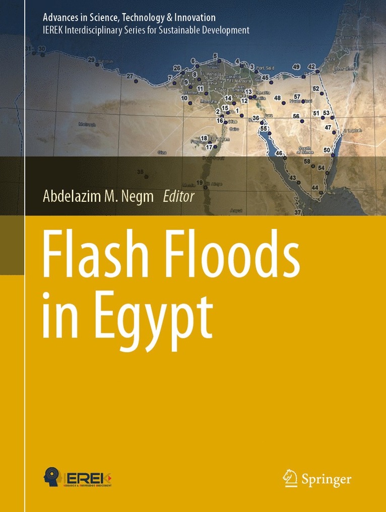 Abdelazim M. Negm - Flash Floods in Egypt, Inbunden
