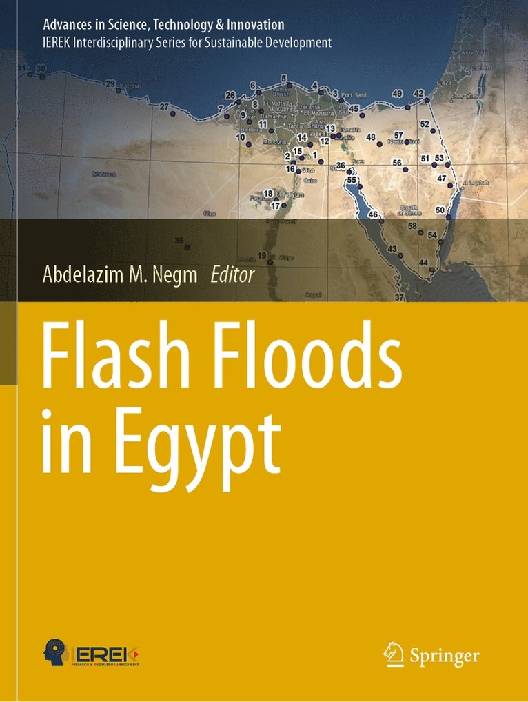 Abdelazim M. Negm - Flash Floods in Egypt, Häftad