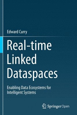 Real-time Linked Dataspaces 1