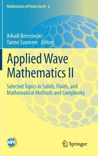 bokomslag Applied Wave Mathematics II