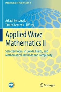 bokomslag Applied Wave Mathematics II