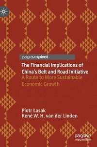 bokomslag The Financial Implications of Chinas Belt and Road Initiative