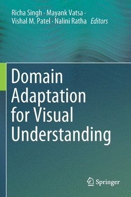 bokomslag Domain Adaptation for Visual Understanding