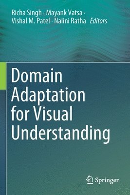 Domain Adaptation for Visual Understanding