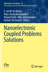 bokomslag Nanoelectronic Coupled Problems Solutions