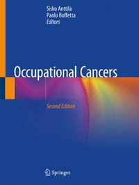bokomslag Occupational Cancers