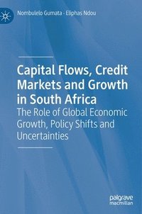 bokomslag Capital Flows, Credit Markets and Growth in South Africa