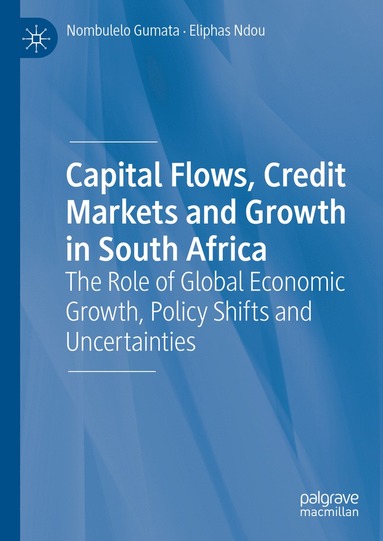 bokomslag Capital Flows, Credit Markets and Growth in South Africa