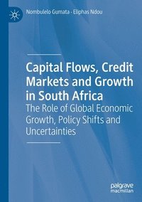 bokomslag Capital Flows, Credit Markets and Growth in South Africa