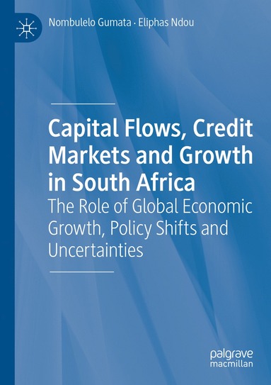 bokomslag Capital Flows, Credit Markets and Growth in South Africa