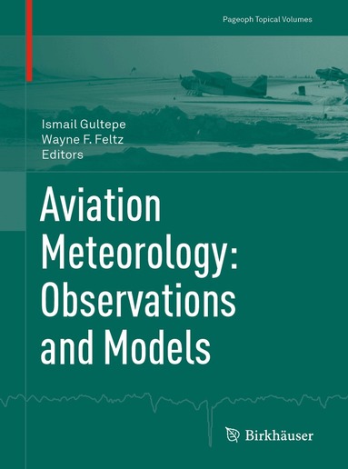Ismail Gultepe, Wayne F. Feltz - Aviation Meteorology: Observations and Models, Häftad