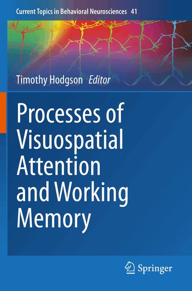 Timothy Hodgson - Processes of Visuospatial Attention and Working Memory, Häftad
