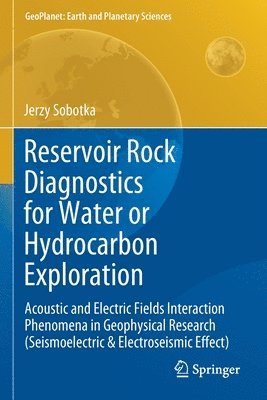 bokomslag Reservoir Rock Diagnostics for Water or Hydrocarbon Exploration