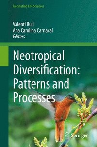 bokomslag Neotropical Diversification: Patterns and Processes