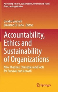 bokomslag Accountability, Ethics and Sustainability of Organizations