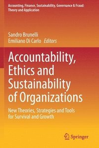 bokomslag Accountability, Ethics and Sustainability of Organizations