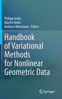 bokomslag Handbook of Variational Methods for Nonlinear Geometric Data