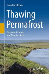 bokomslag Thawing Permafrost