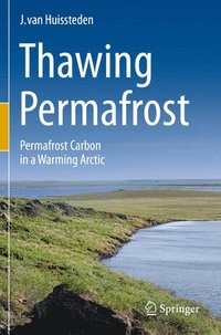 bokomslag Thawing Permafrost