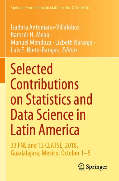 Isadora Antoniano-Villalobos, Ramsés H. Mena, Manuel Mendoza, Lizbeth Naranjo, Luis E. Nieto-Barajas - Selected Contributions on Statistics and Data Science in Latin America, Häftad