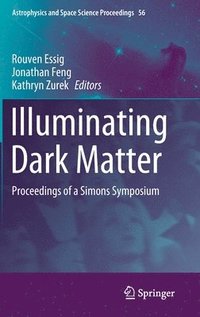 bokomslag Illuminating Dark Matter