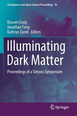 bokomslag Illuminating Dark Matter
