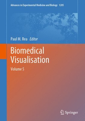 bokomslag Biomedical Visualisation