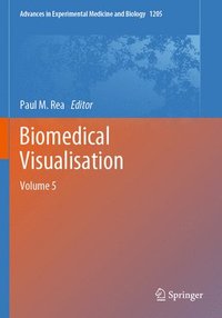 bokomslag Biomedical Visualisation