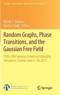 bokomslag Random Graphs, Phase Transitions, and the Gaussian Free Field