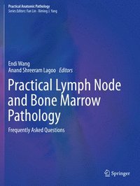 bokomslag Practical Lymph Node and Bone Marrow Pathology