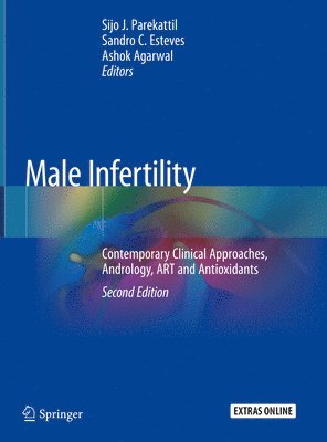 bokomslag Male Infertility