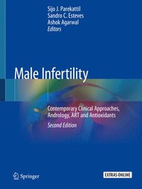 bokomslag Male Infertility